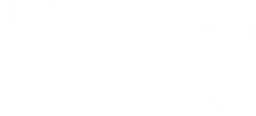 Homy